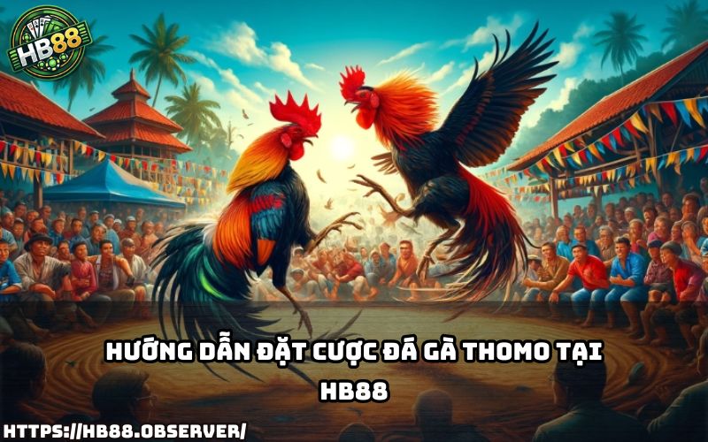 Xem ngay cách đặt cược Đá Gà Trực Tiếp Thomo tại HB88 – dễ chơi, dễ trúng, cực kỳ hấp dẫn