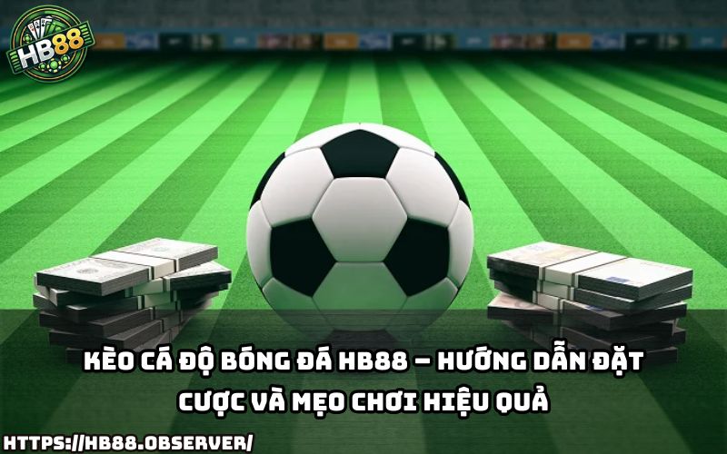 Cùng HB88 khám phá cách soi Kèo Cá Độ Bóng Đá chuẩn xác và mẹo chơi giúp anh em thắng lớn
