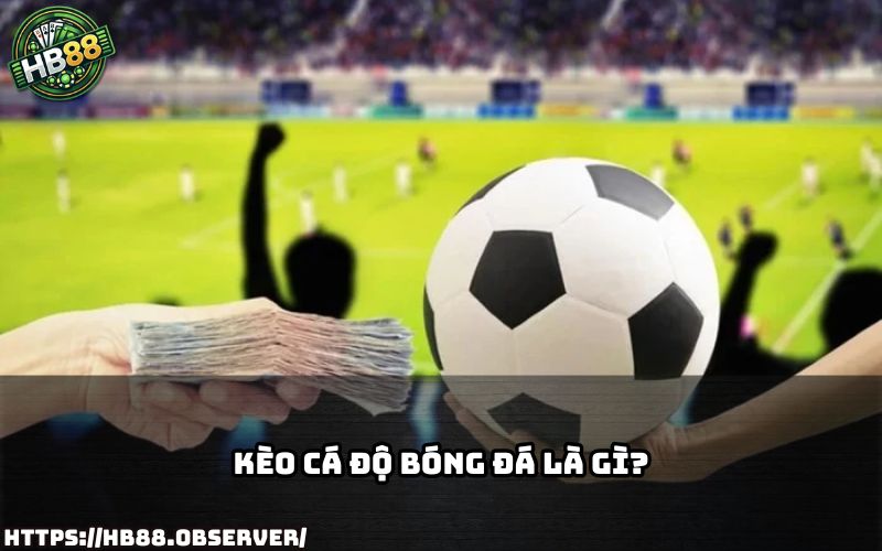 Kèo Cá Độ Bóng Đá tại HB88 là gì? Cùng tìm hiểu khái niệm và cách đọc kèo siêu dễ hiểu Kèo Cá Độ Bóng Đá tại HB88 là gì? Cùng tìm hiểu khái niệm và cách đọc kèo siêu dễ hiểu