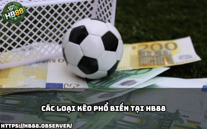 HB88 cung cấp đa dạng Kèo Cá Độ Bóng Đá giúp anh em thoải mái chọn kèo dễ ăn nhất hiện nay HB88 cung cấp đa dạng Kèo Cá Độ Bóng Đá giúp anh em thoải mái chọn kèo dễ ăn nhất hiện nay