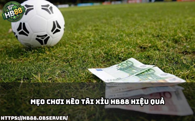 Bỏ túi mẹo đánh kèo tài xỉu chuẩn xác, nâng tỷ lệ thắng cược khi tham gia cá độ tại HB88