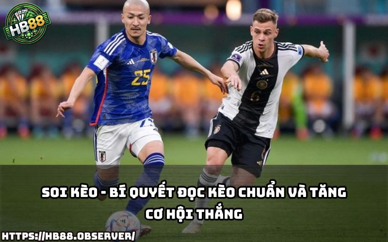 Khám phá cách soi kèo tại HB88 giúp anh em nâng cao tỷ lệ thắng và đọc kèo cực chuẩn